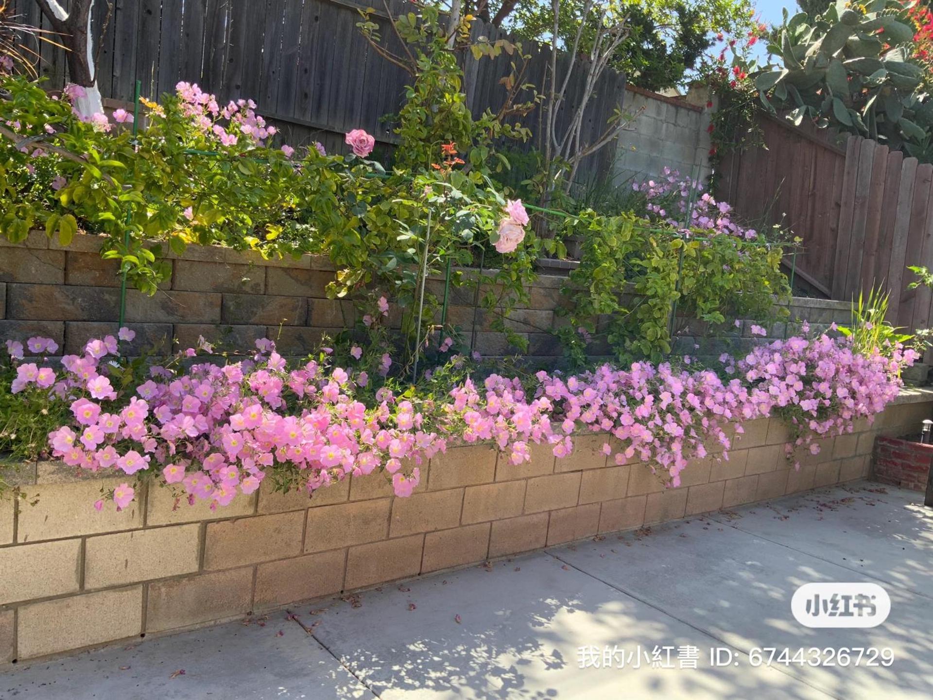 1 Bedroom In A Quiet Neighborhood Near The Main Street - C * Rowland Heights