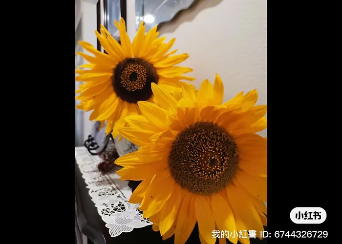 1 Bedroom In A Quiet Neighborhood Near The Main Street - Room C
